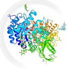 Alpha-Galactosidase