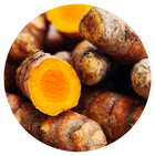 Curcuma