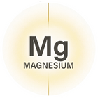 Magnésium