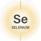 Sélénium